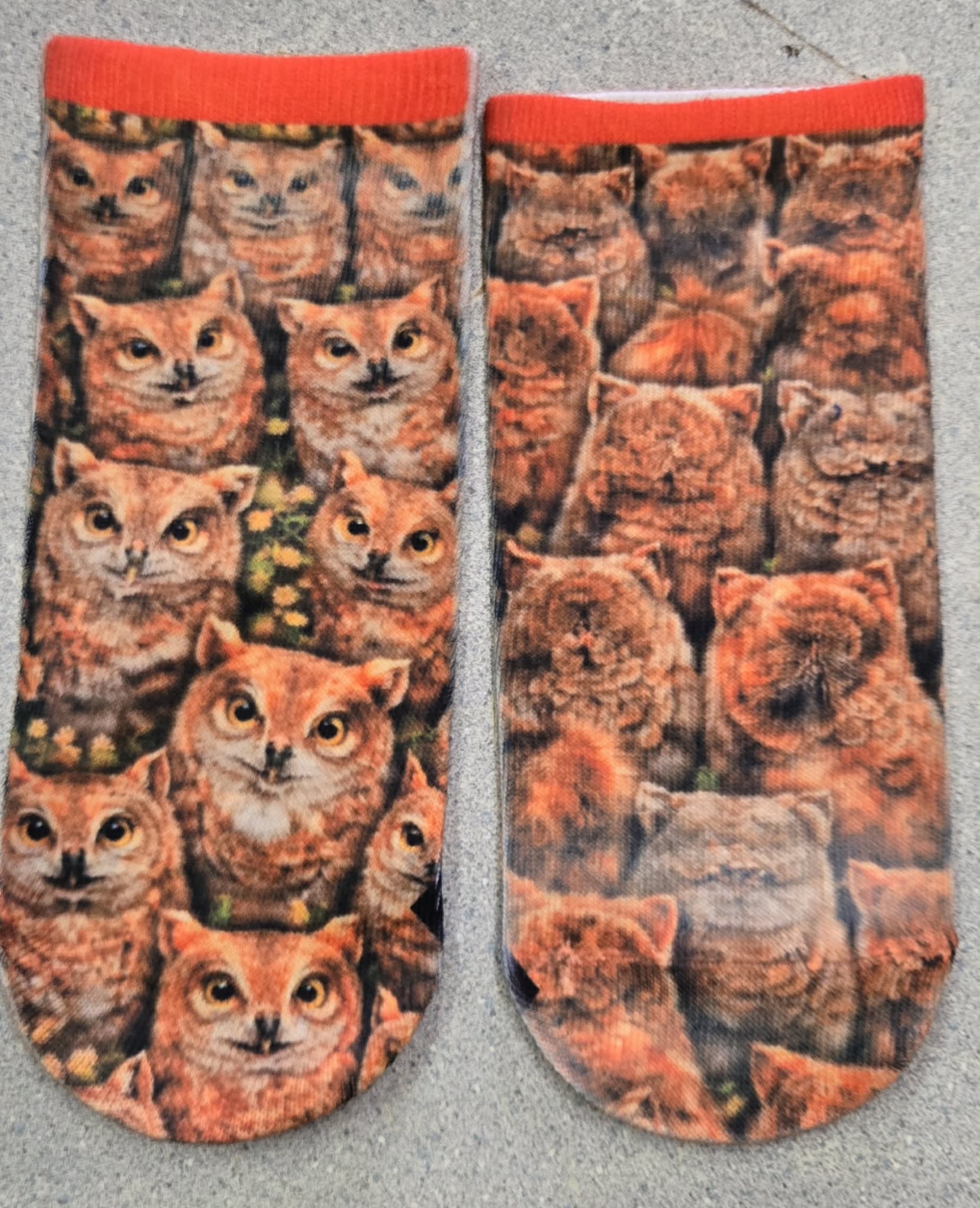 Screech Ankle Socks