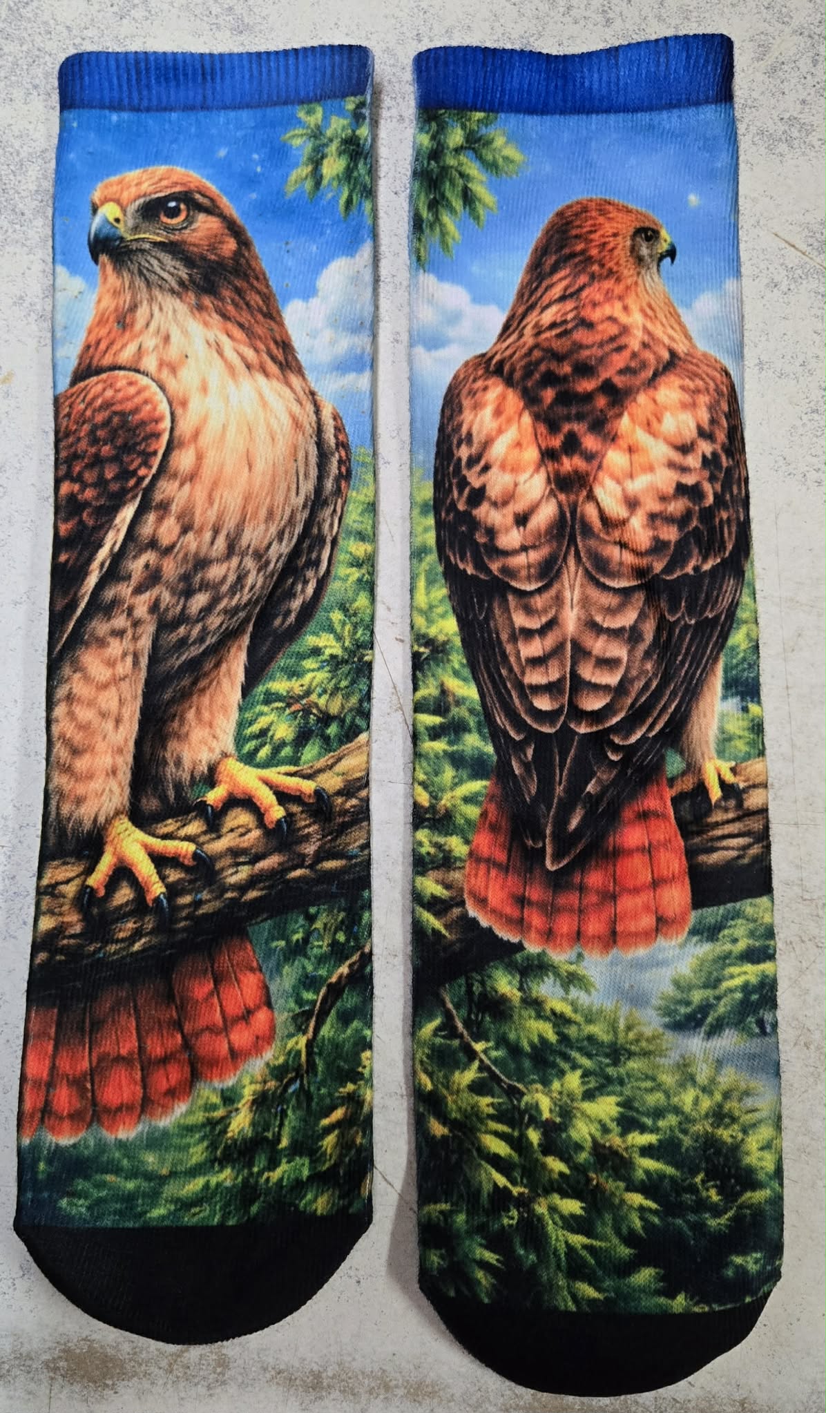 Red Tailed Hawk Socks