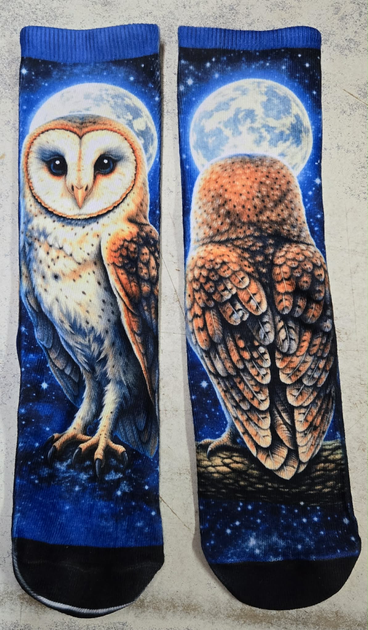 Barn Owl Socks