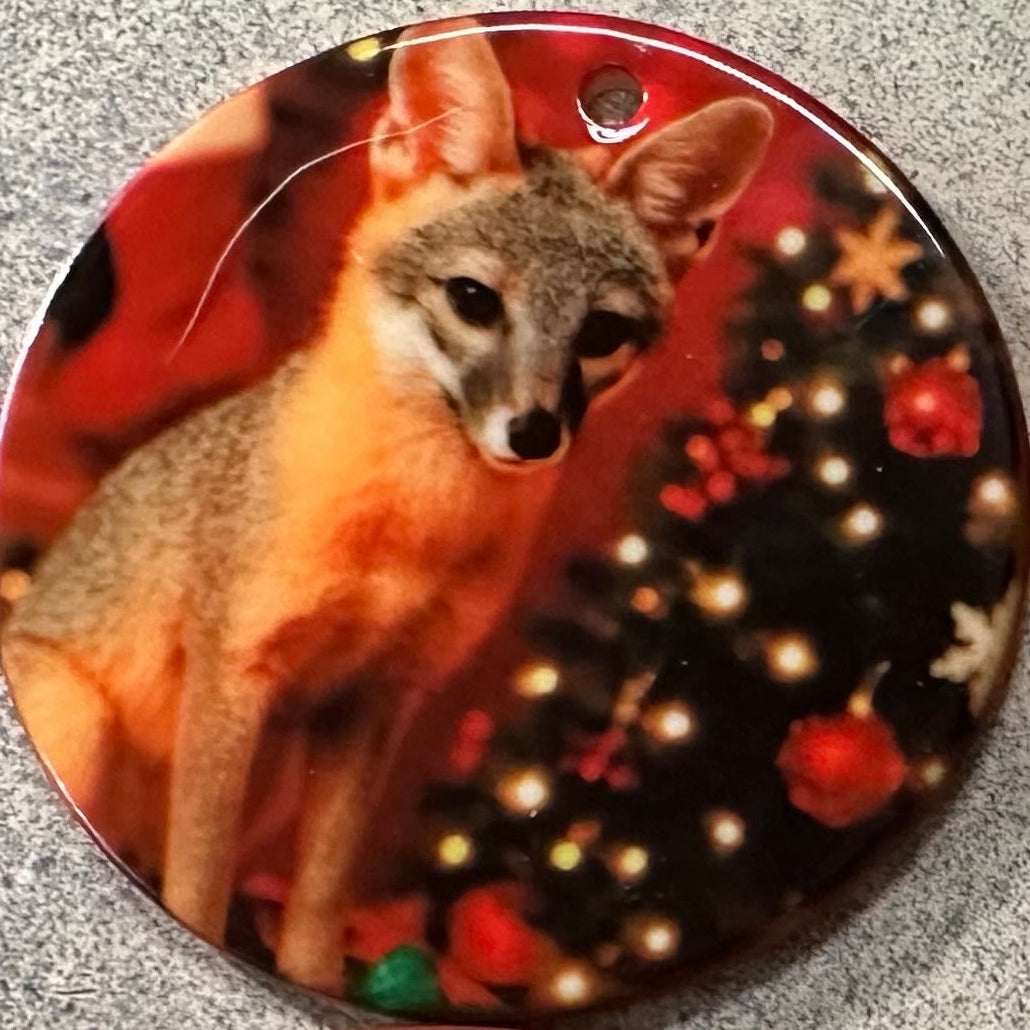 Ceramic Ornaments - 3"