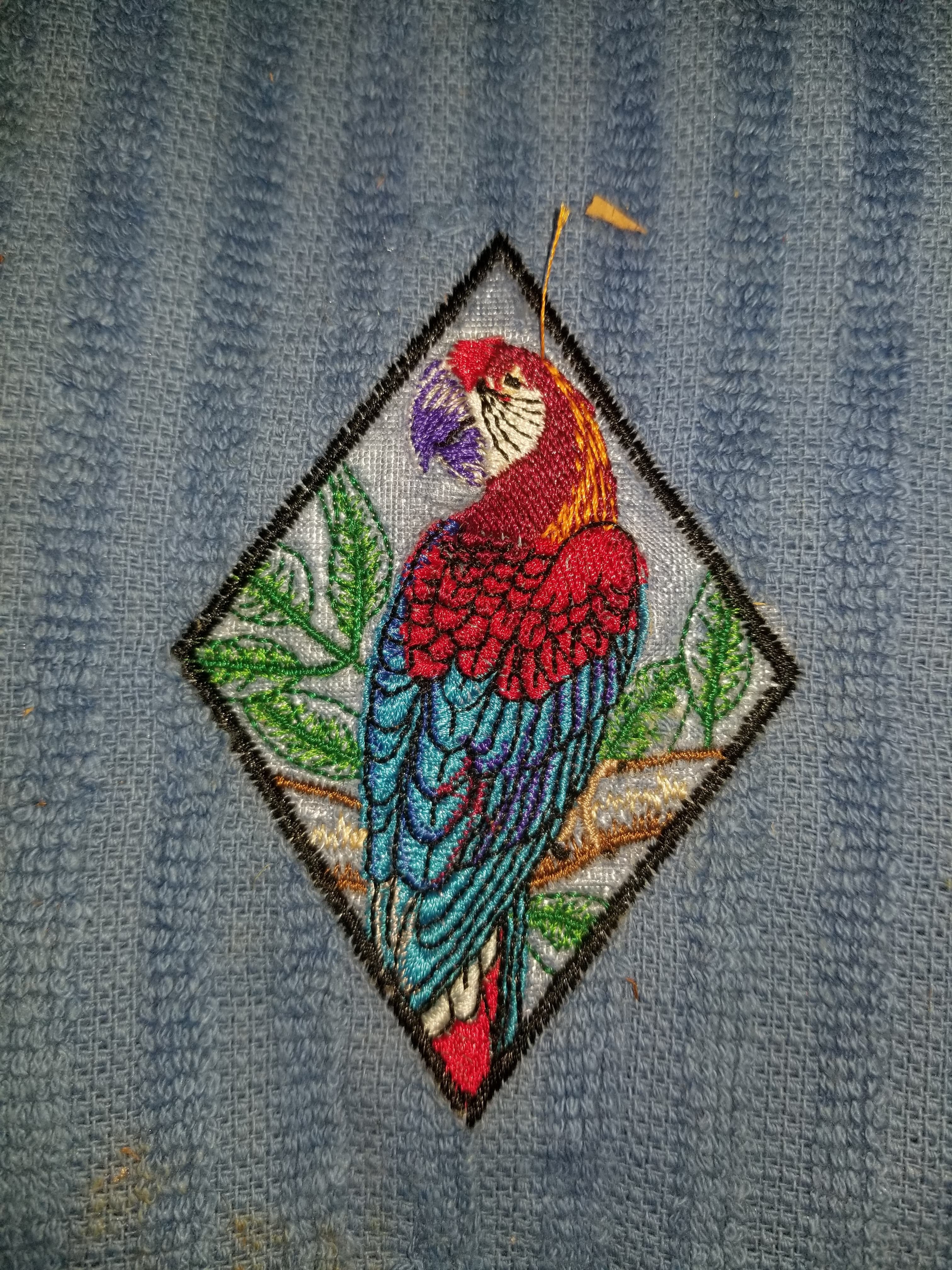 Parrot Kitchen Towel