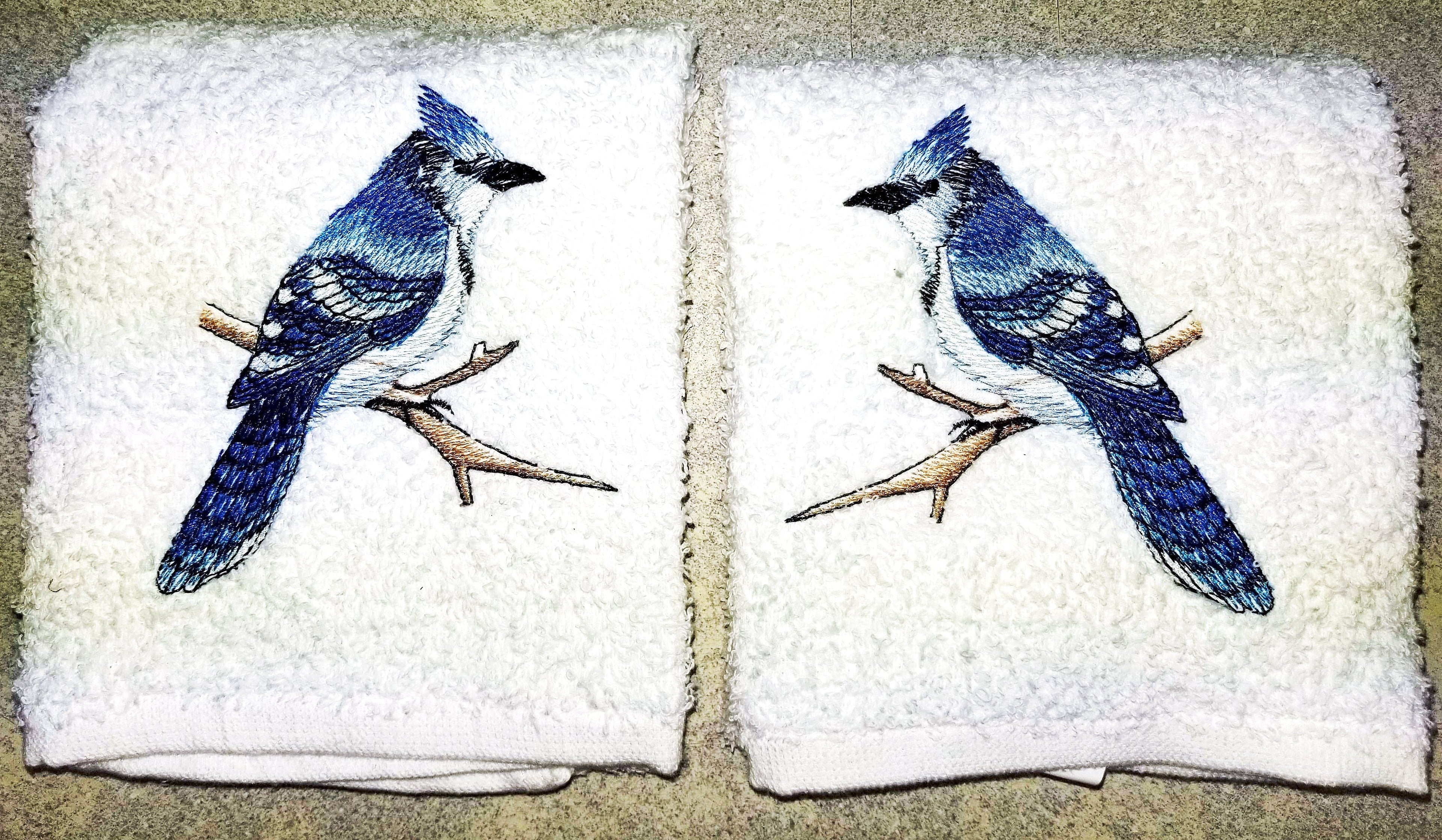 Bluejay Kitchen Towel Set (2)