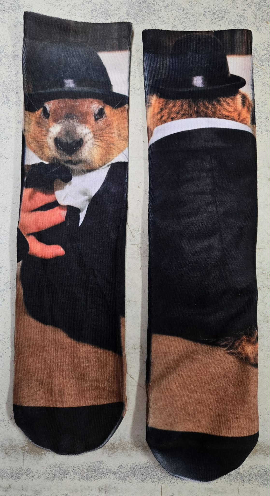 Groundhog Day Socks