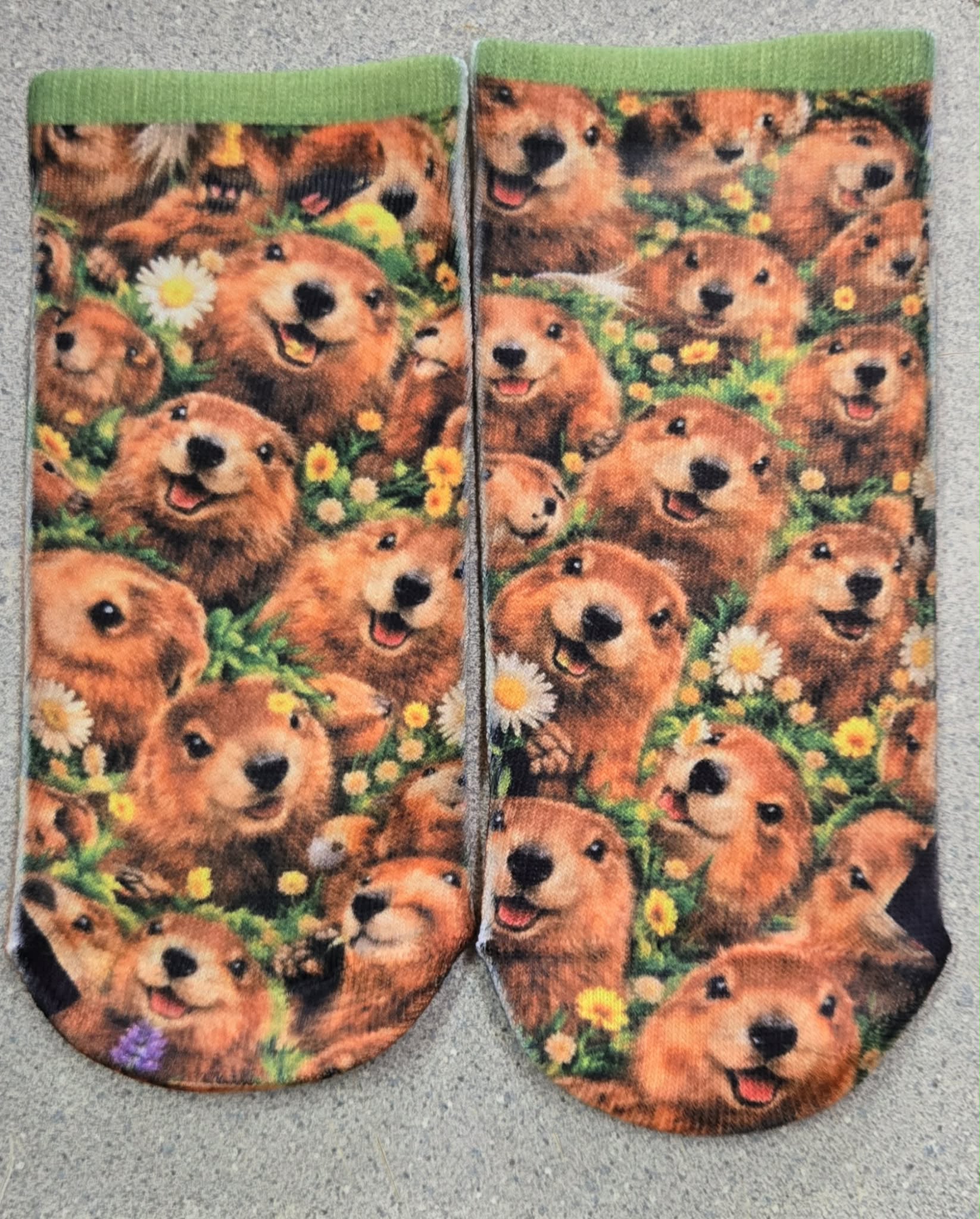 Marmot Ankle Socks